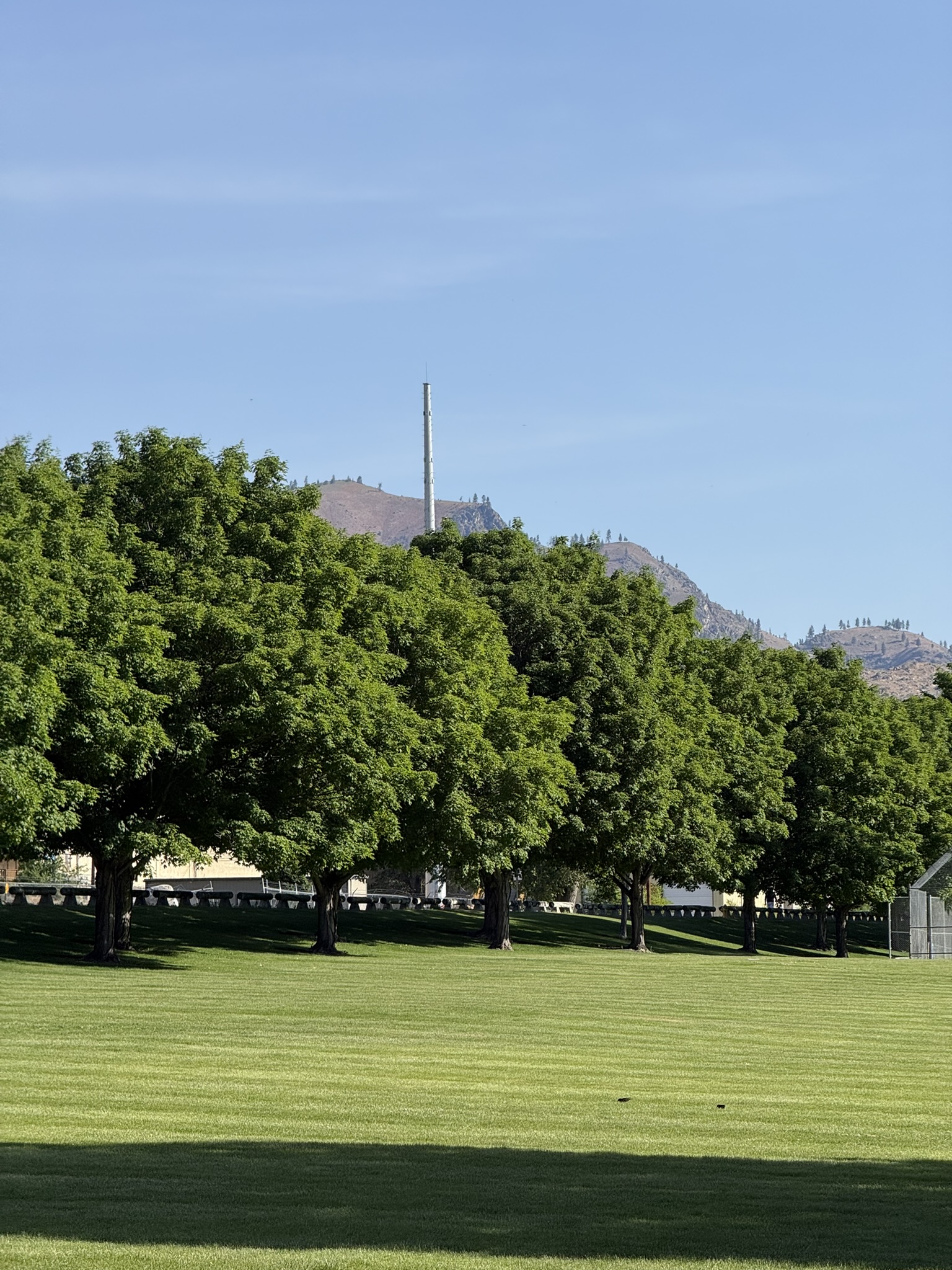 Tower pictured from Chelan Falls Park